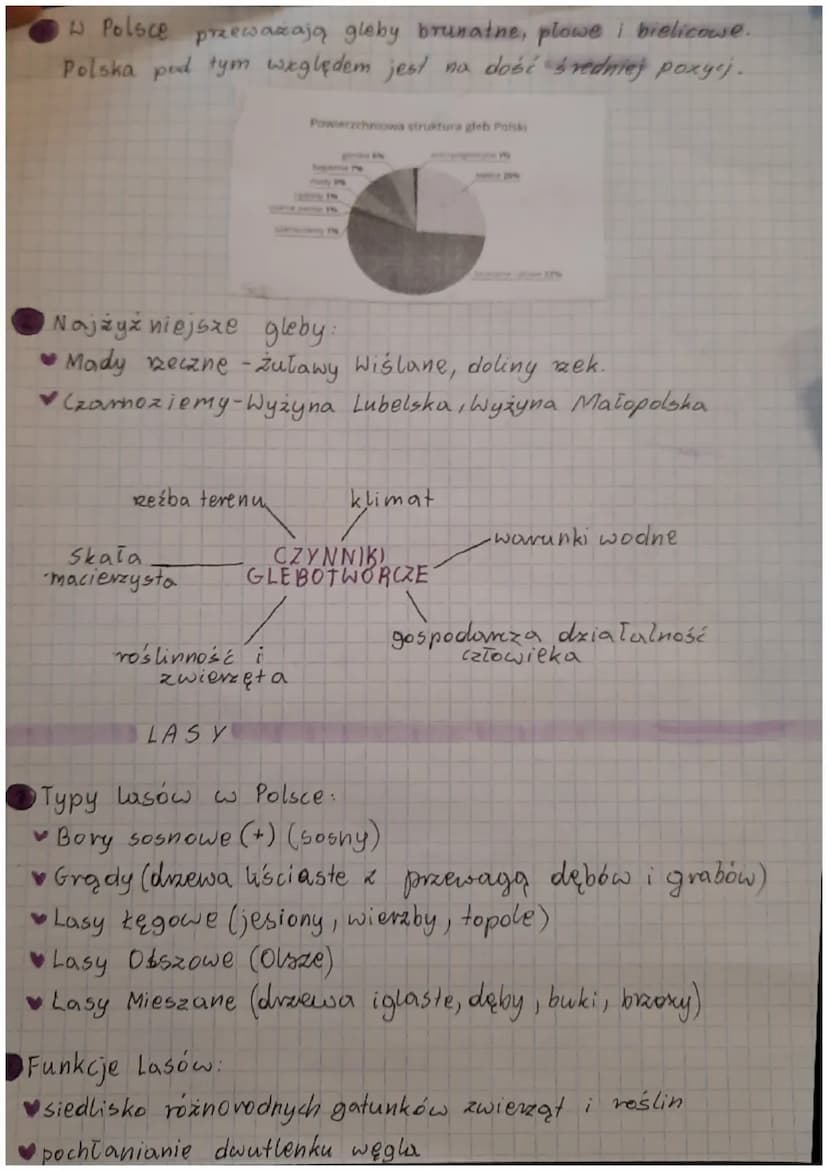 SRODOLJISKO PRZYRO-
DNICZE POLSKI
CZ. T
II
RZEKI
dzial
wodny
doplyw
ujście:.
* Lejkowate
* deltowe
Y
drogi transportu
DORZECZE
Asymetria dor
