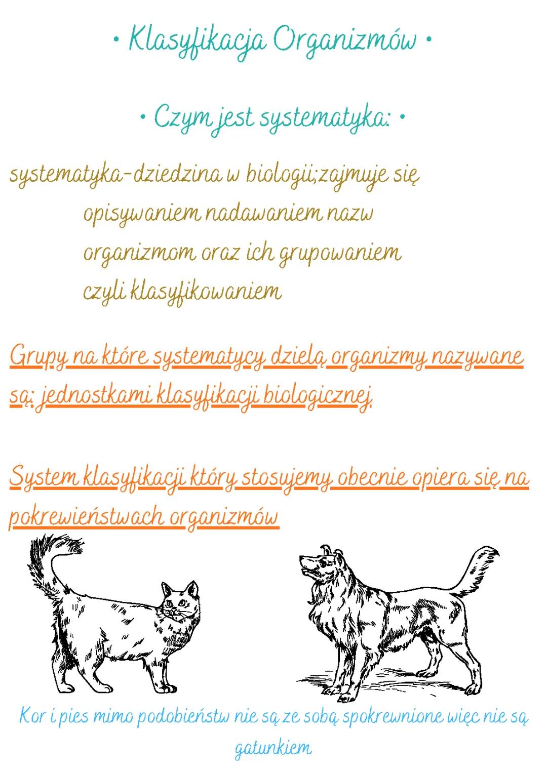 Klasyfikacja organizmów klasa 5: Systemy i Jednostki Biologiczne