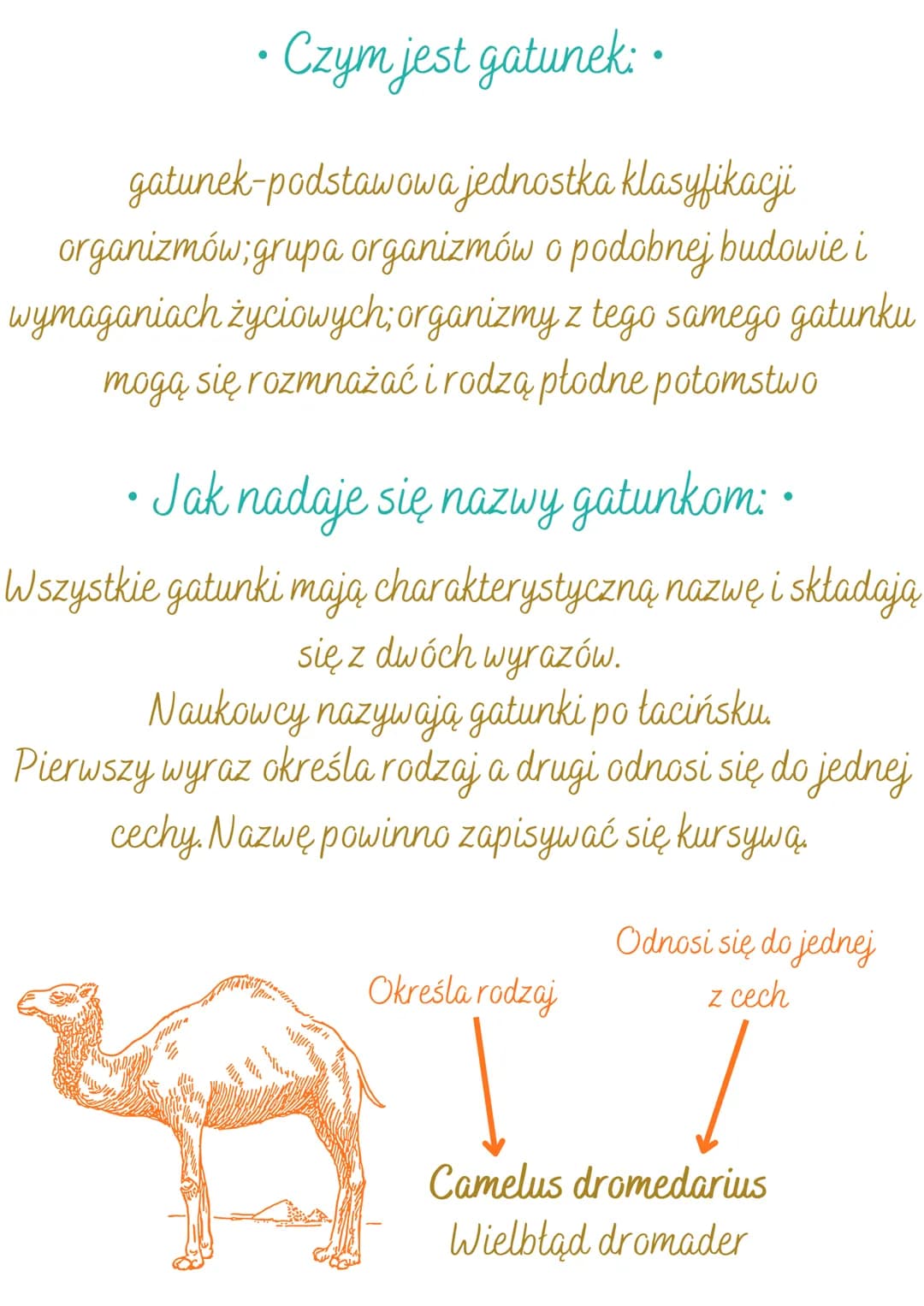 Klasyfikacja organizmów klasa 5: Systemy i Jednostki Biologiczne