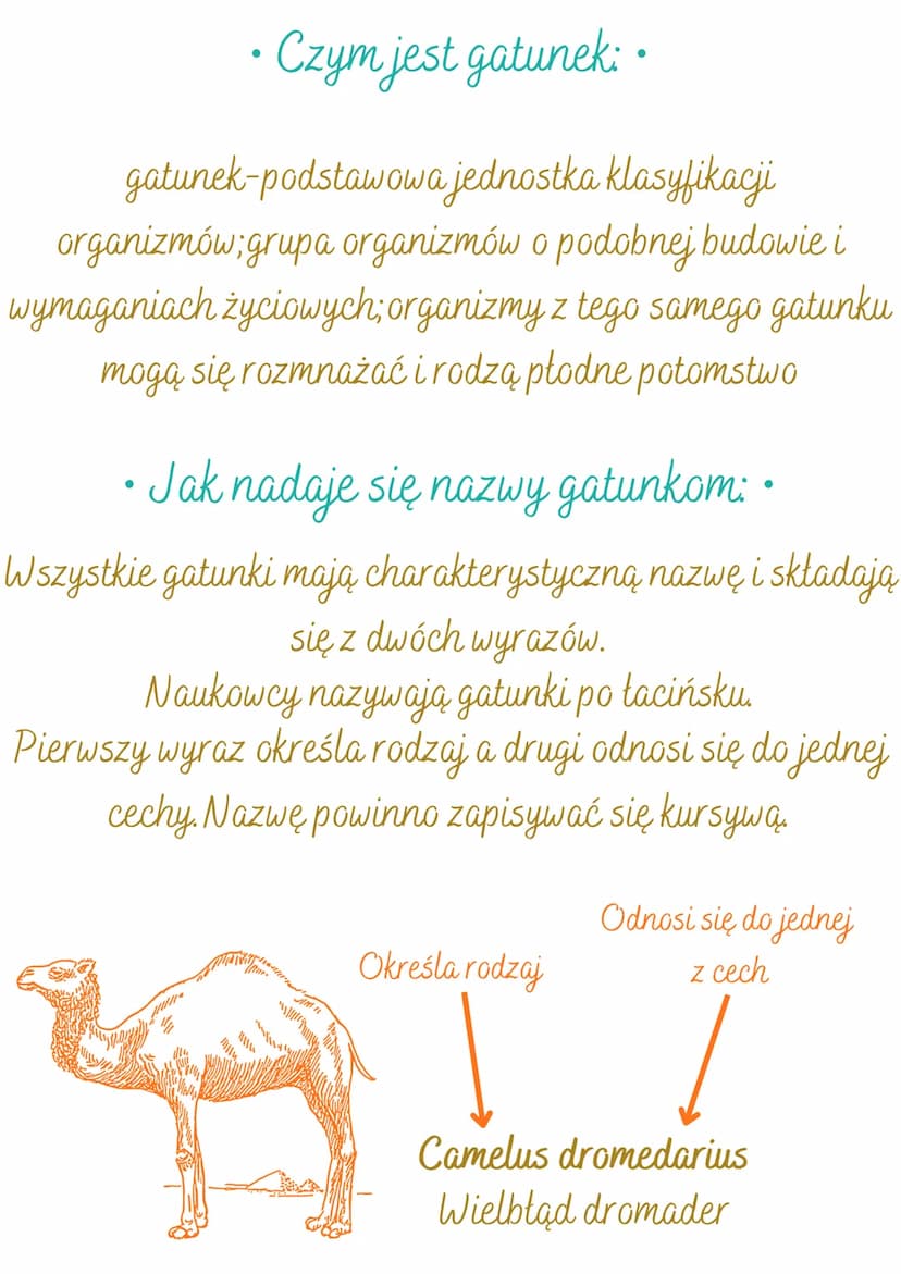 • Klasyfikacja Organizmów •
●
●
• Czym jest systematyka: •
systematyka-dziedzina w biologii; zajmuje się
opisywaniem nadawaniem nazw
organiz
