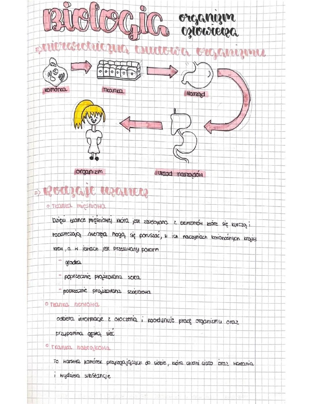 Organizm człowieka