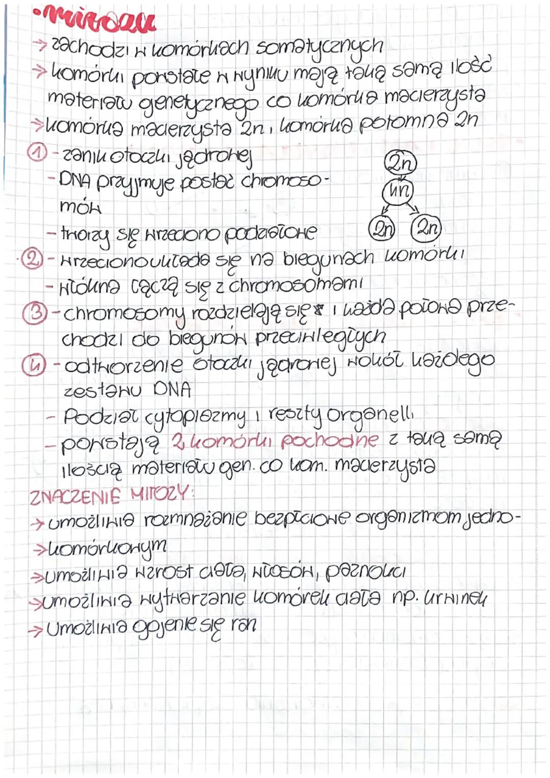 Biologia
GENETYKA-nauko zajmująca się dziedziczeniem oraz
zmiennością organizmów.
GENETYKA
• Cechry dziedzicane i niedziedai-
izme
CECHY DZI