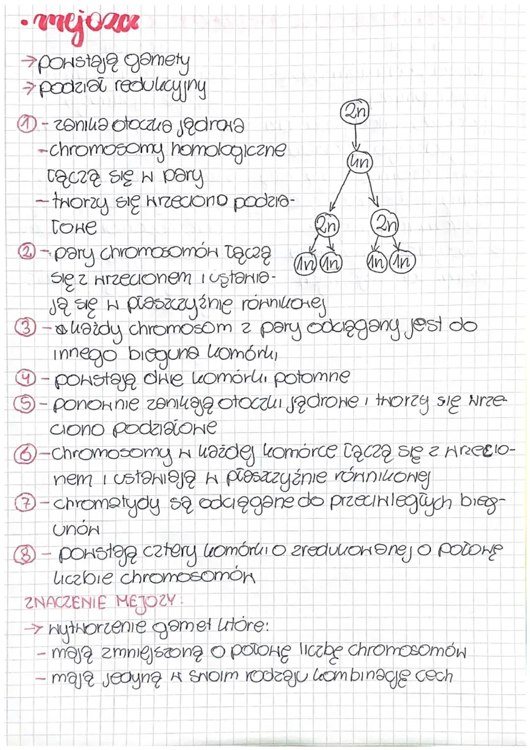 Biologia
GENETYKA-nauko zajmująca się dziedziczeniem oraz
zmiennością organizmów.
GENETYKA
• Cechry dziedzicane i niedziedai-
izme
CECHY DZI