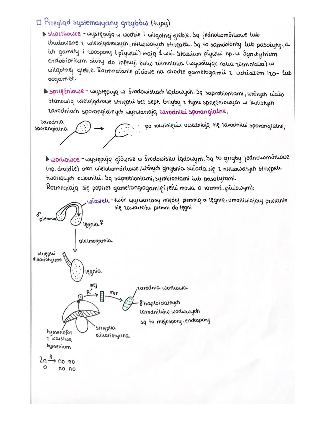 GRZYBY
□(zym są grzyby?
Grzyby to vidrożywne organizmy eukariotyczne, jednokomórkowe lub o wielokomórkowej
plesie noszącej nazwę grybni. Gry