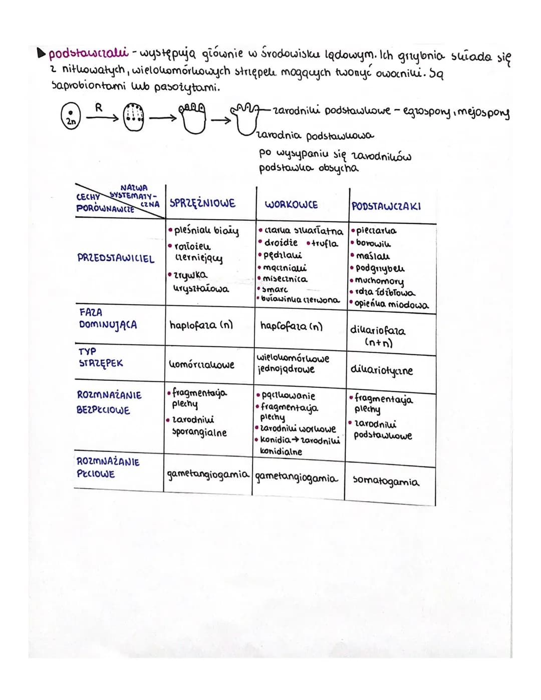 GRZYBY
□(zym są grzyby?
Grzyby to vidrożywne organizmy eukariotyczne, jednokomórkowe lub o wielokomórkowej
plesie noszącej nazwę grybni. Gry