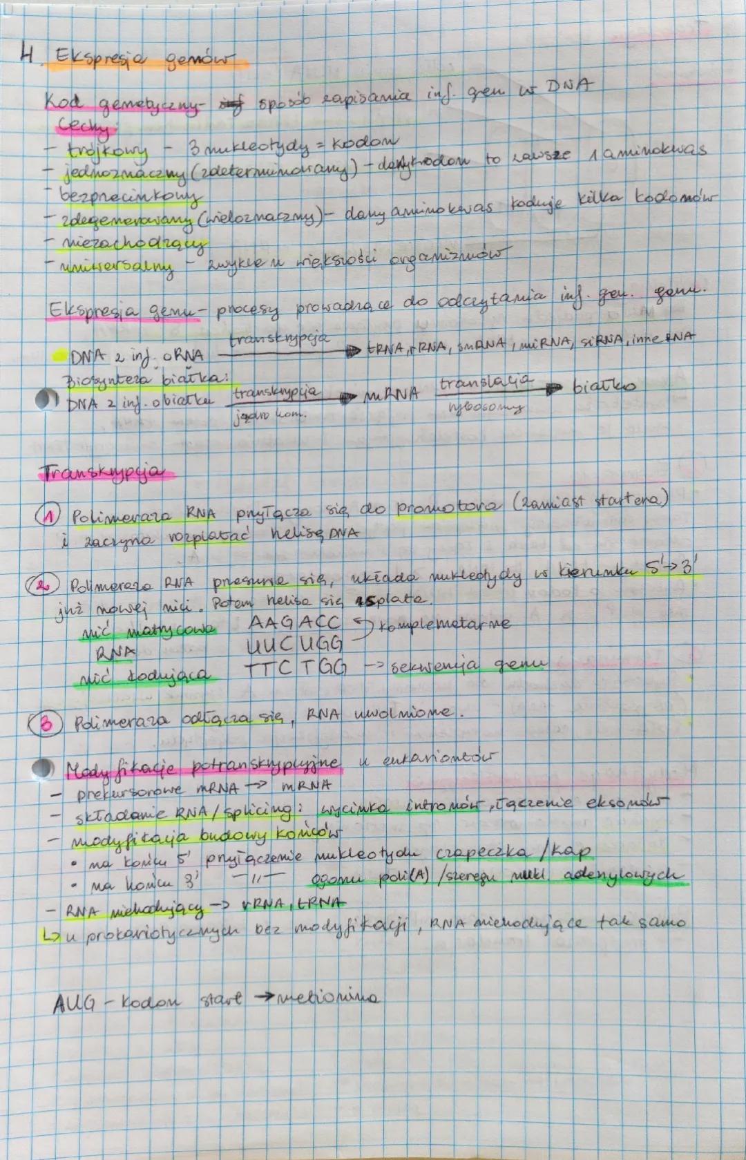 Biologia Rozszerzona: Transkrypcja i translacja oraz cechy kodu genetycznego - Materiał do matury