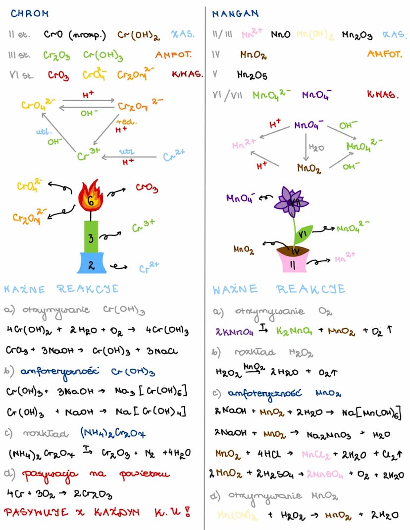 PRÓBA
Li
LITOH
Na
+ 0₂
2 Na+ 0₂ →
K + 0₂ →
Li + 02
NaOH i
orax
sækle
Cu
кон
xrque
Cu(OH)₂ + red.
Cu(OH)₂ I
inne :
CE
POE OMIENIONA
K
Na202
к