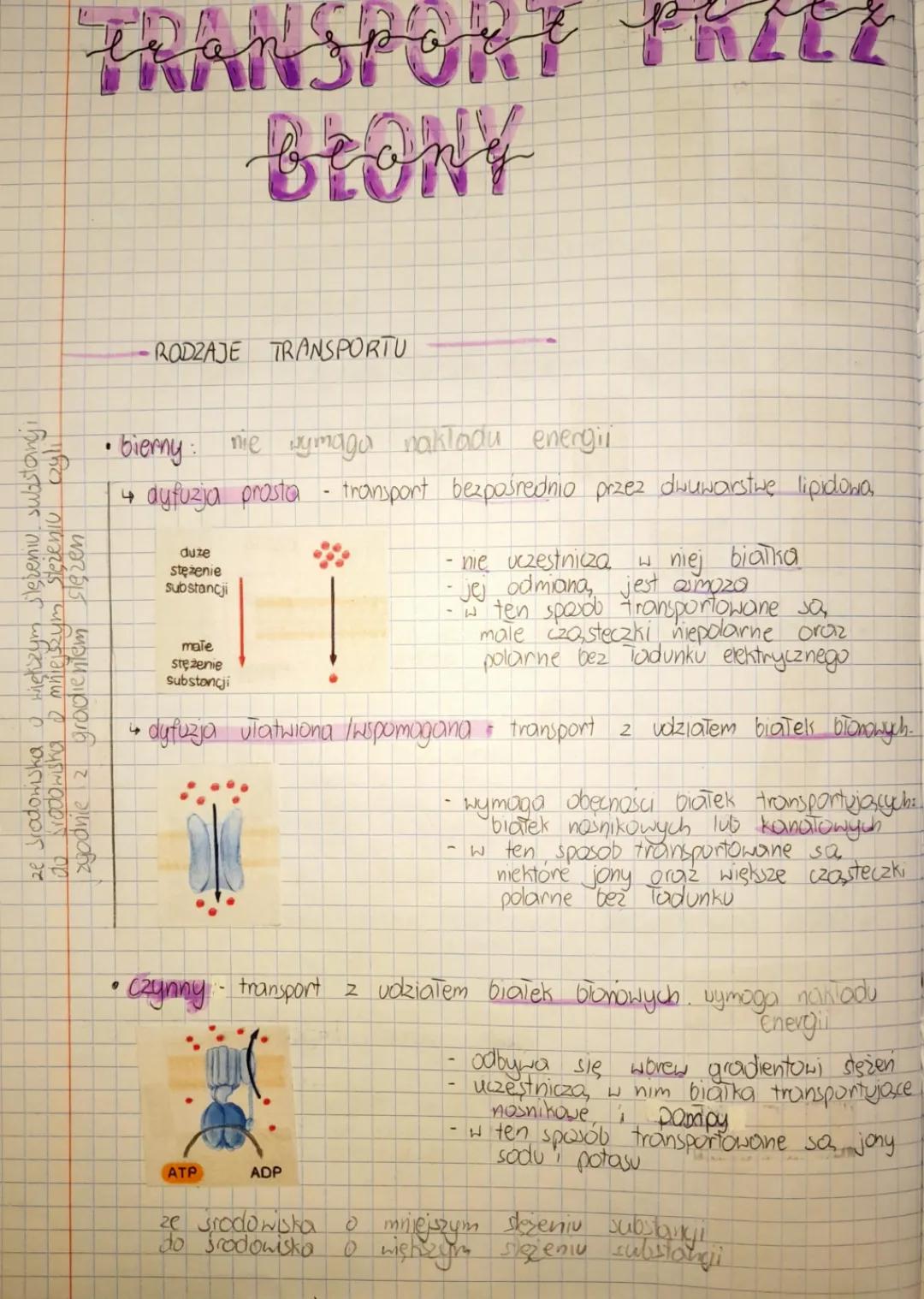 Transport przez błony biologiczne - notatka, test, zadania | BiologHelp