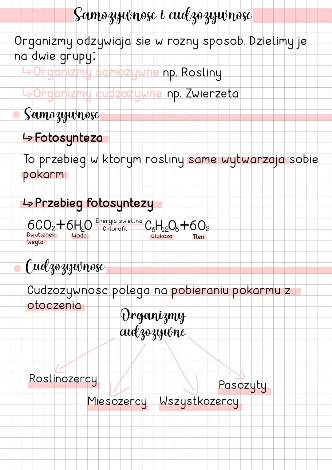 Samożywność i cudzożywność: Wyjaśnienie pojęć