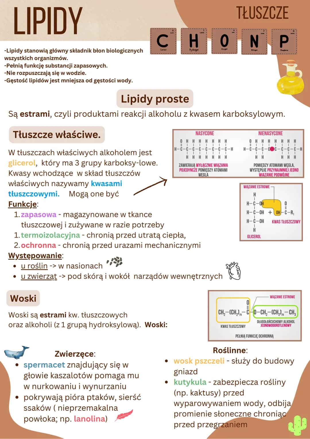 LIPIDY
-Lipidy stanowią główny składnik błon biologicznych
wszystkich organizmów.
-Pełnią funkcję substancji zapasowych.
-Nie rozpuszczają s