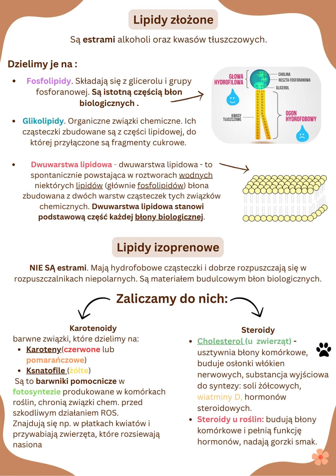LIPIDY
-Lipidy stanowią główny składnik błon biologicznych
wszystkich organizmów.
-Pełnią funkcję substancji zapasowych.
-Nie rozpuszczają s
