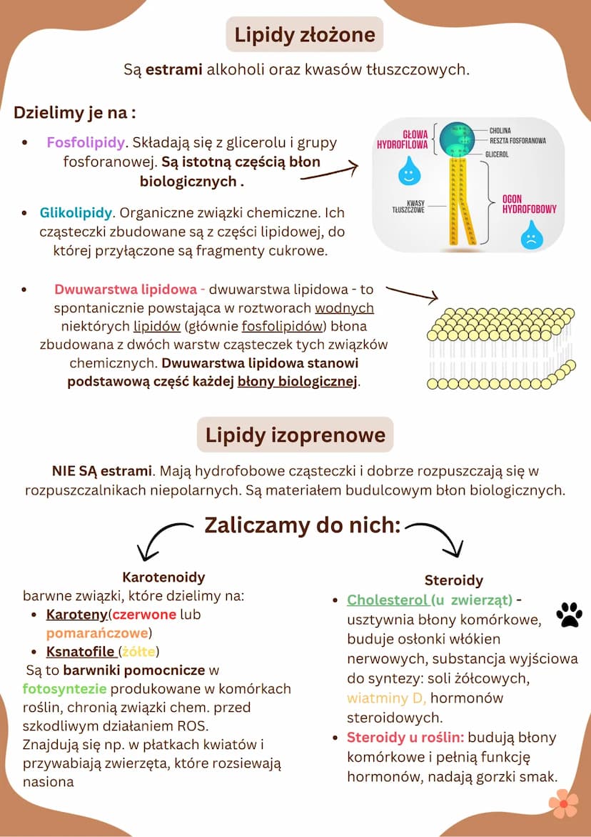 LIPIDY
-Lipidy stanowią główny składnik błon biologicznych
wszystkich organizmów.
-Pełnią funkcję substancji zapasowych.
-Nie rozpuszczają s