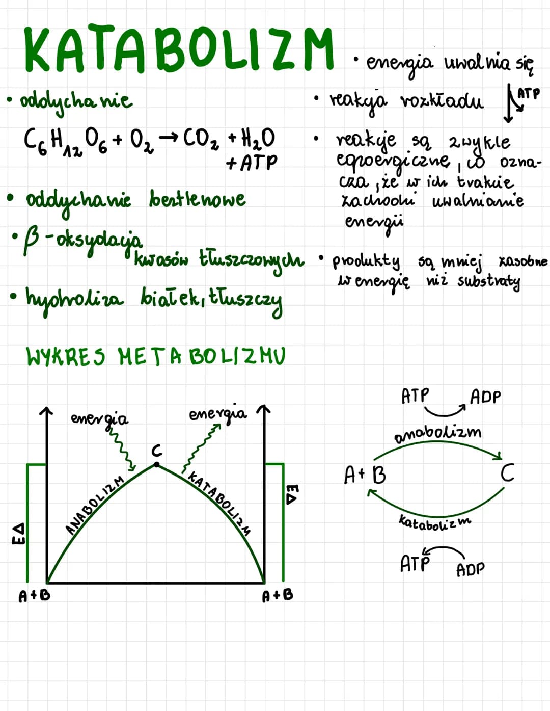 odnosi się do:
1
ATP
AMP ADP ATP
oksydacyjna
• proces powsta-
wania ATP kosztem
energii uwalnianej
podczas transportu
e-i H+.
np. oddychanie