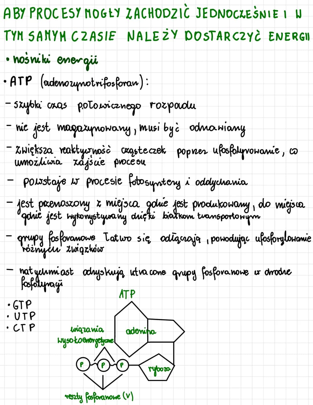 odnosi się do:
1
ATP
AMP ADP ATP
oksydacyjna
• proces powsta-
wania ATP kosztem
energii uwalnianej
podczas transportu
e-i H+.
np. oddychanie