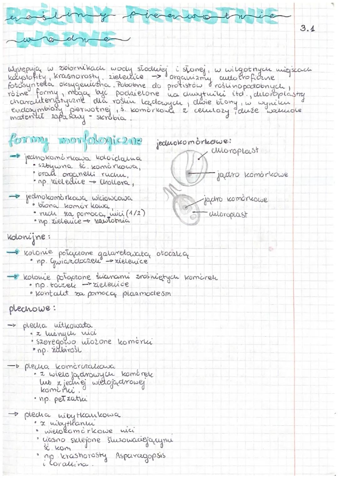 به تخلفه
سفر
C
Występują w zbiornikach
wody. słodniej
slonej, w wilgotnych miejscach.
kaystofity, krasnorosty, zieleutice
organizmy
auto tro