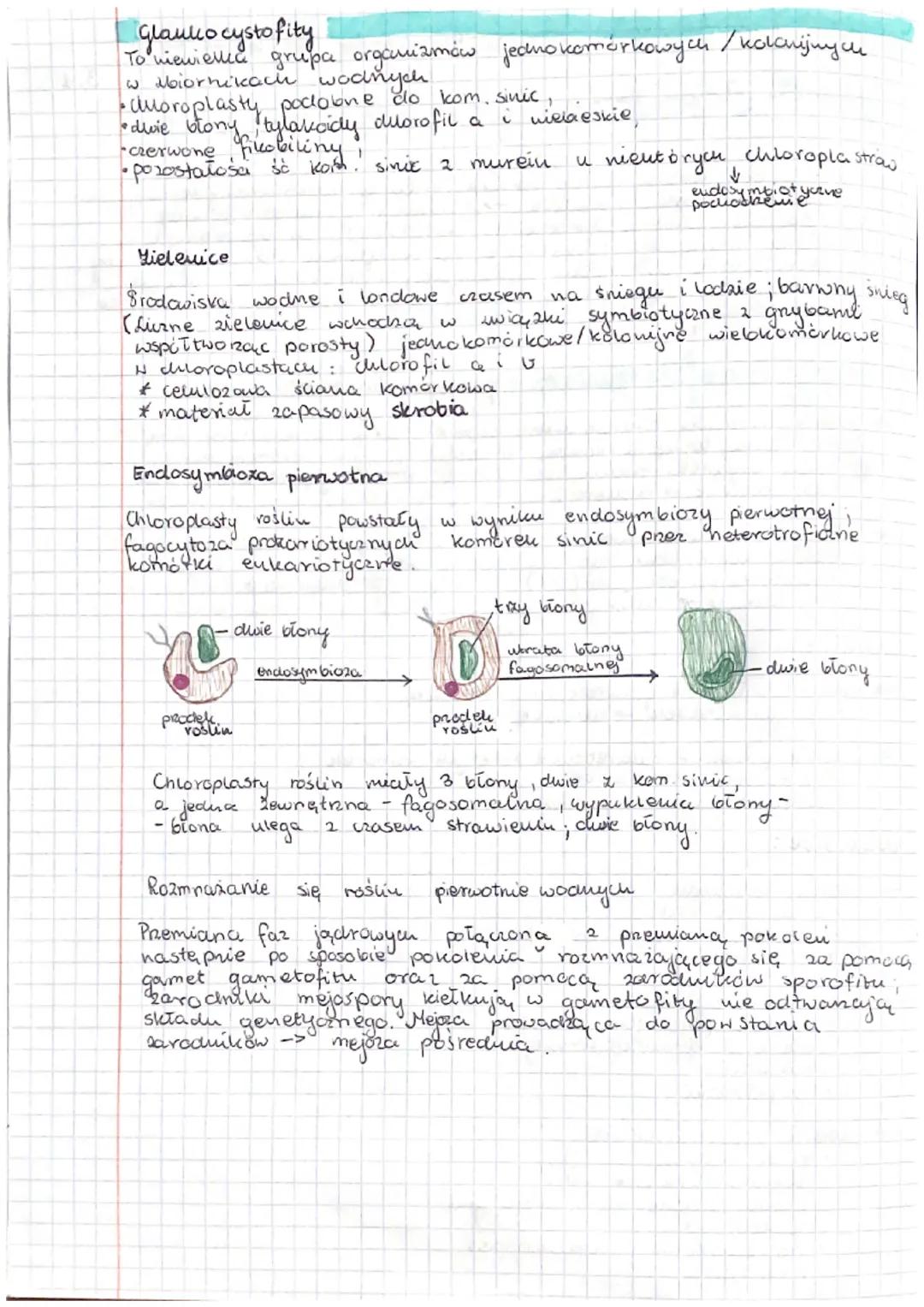 به تخلفه
سفر
C
Występują w zbiornikach
wody. słodniej
slonej, w wilgotnych miejscach.
kaystofity, krasnorosty, zieleutice
organizmy
auto tro