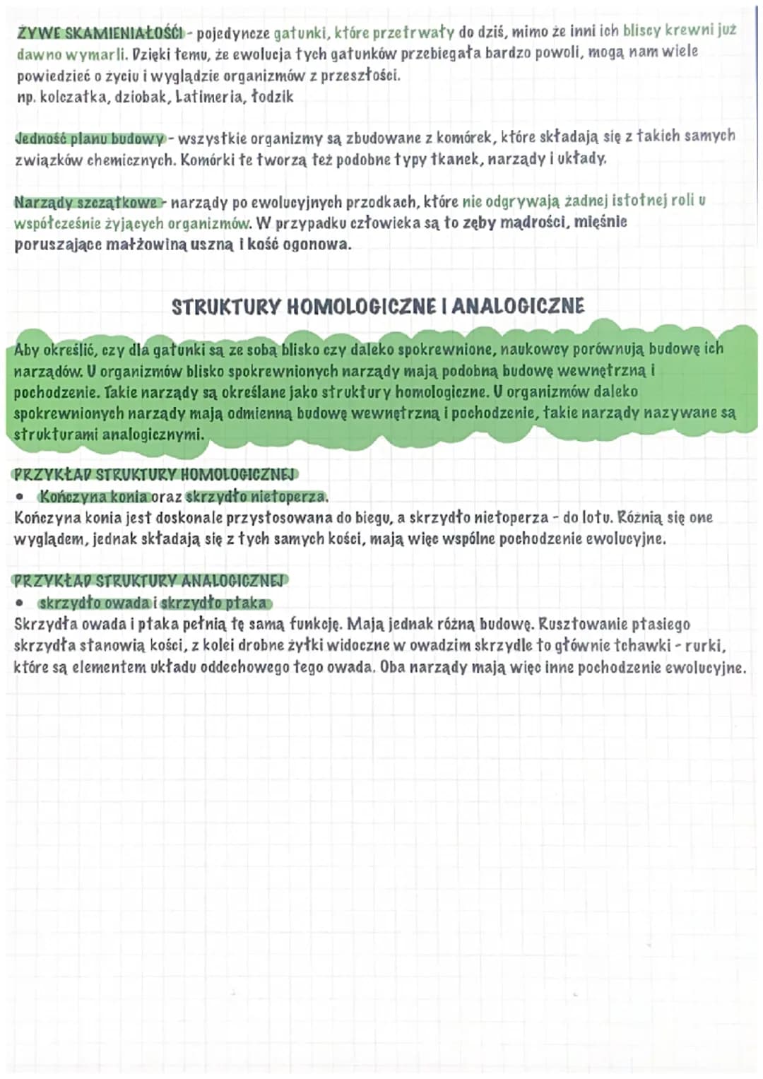 ŹRÓDŁA WIEDZY O EWOLUCJI
Jak wyodrębniono inne rodziny ssaków?
Naukowcy zaobserwowali, że niektóre gatunki są do siebie podobne i można je p