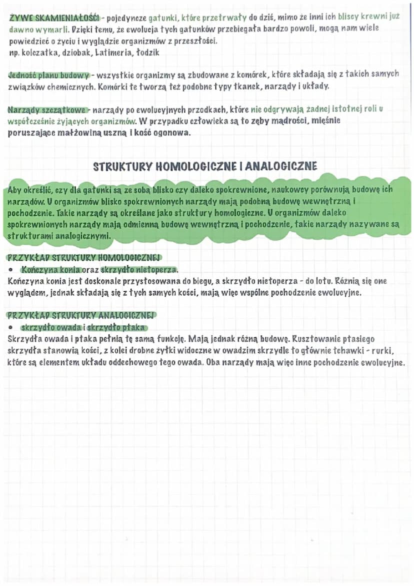 ŹRÓDŁA WIEDZY O EWOLUCJI
Jak wyodrębniono inne rodziny ssaków?
Naukowcy zaobserwowali, że niektóre gatunki są do siebie podobne i można je p