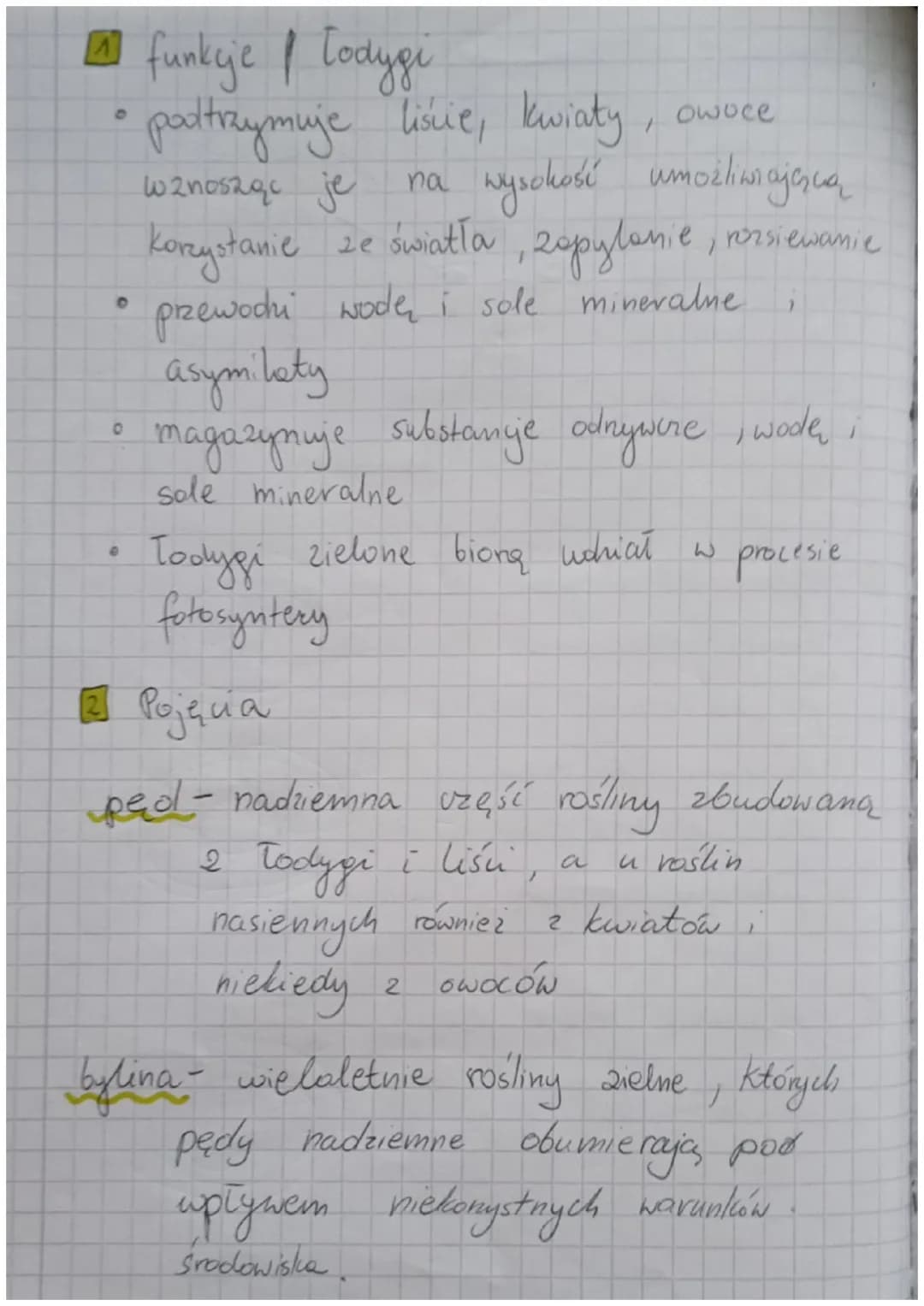 Korzeń, Todygo, liśc
funkcje komenia:
• dostarczanie rośliną wodę i sole
mineralne
przytwierdza rośling do podłoża
roślin
spichrzowego
D
O
w