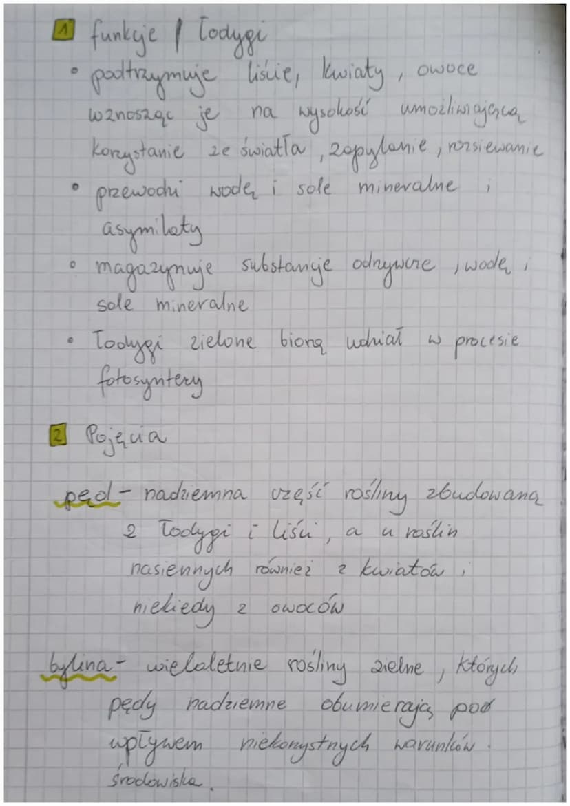 Korzeń, Todygo, liśc
funkcje komenia:
• dostarczanie rośliną wodę i sole
mineralne
przytwierdza rośling do podłoża
roślin
spichrzowego
D
O
w