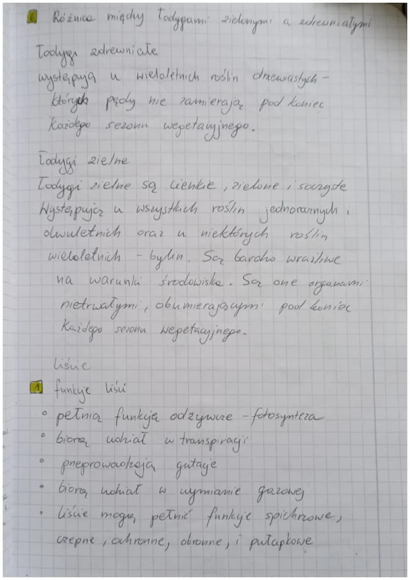 Korzeń, Todygo, liśc
funkcje komenia:
• dostarczanie rośliną wodę i sole
mineralne
przytwierdza rośling do podłoża
roślin
spichrzowego
D
O
w