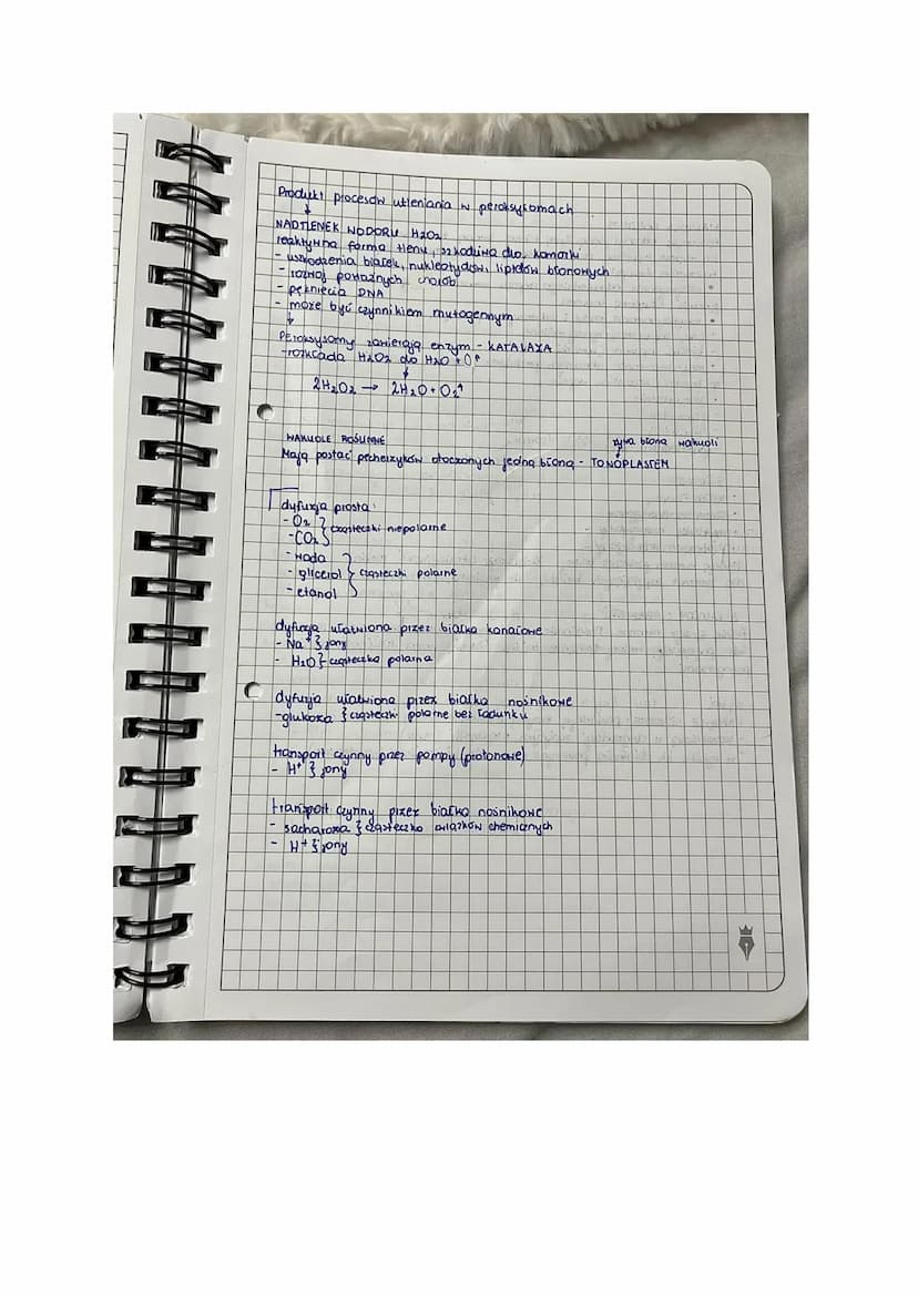 ASYMILANT bezpośredn produks przysmojenia pizez
substanc pobrang & zewnatrz najczęściej
w odniesieniu do fotosyntexy
ASYNILACJA proces przem