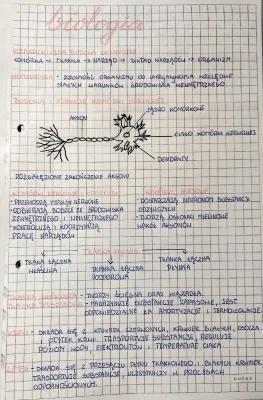 Know Hierarchiczna budowa organizmów  thumbnail