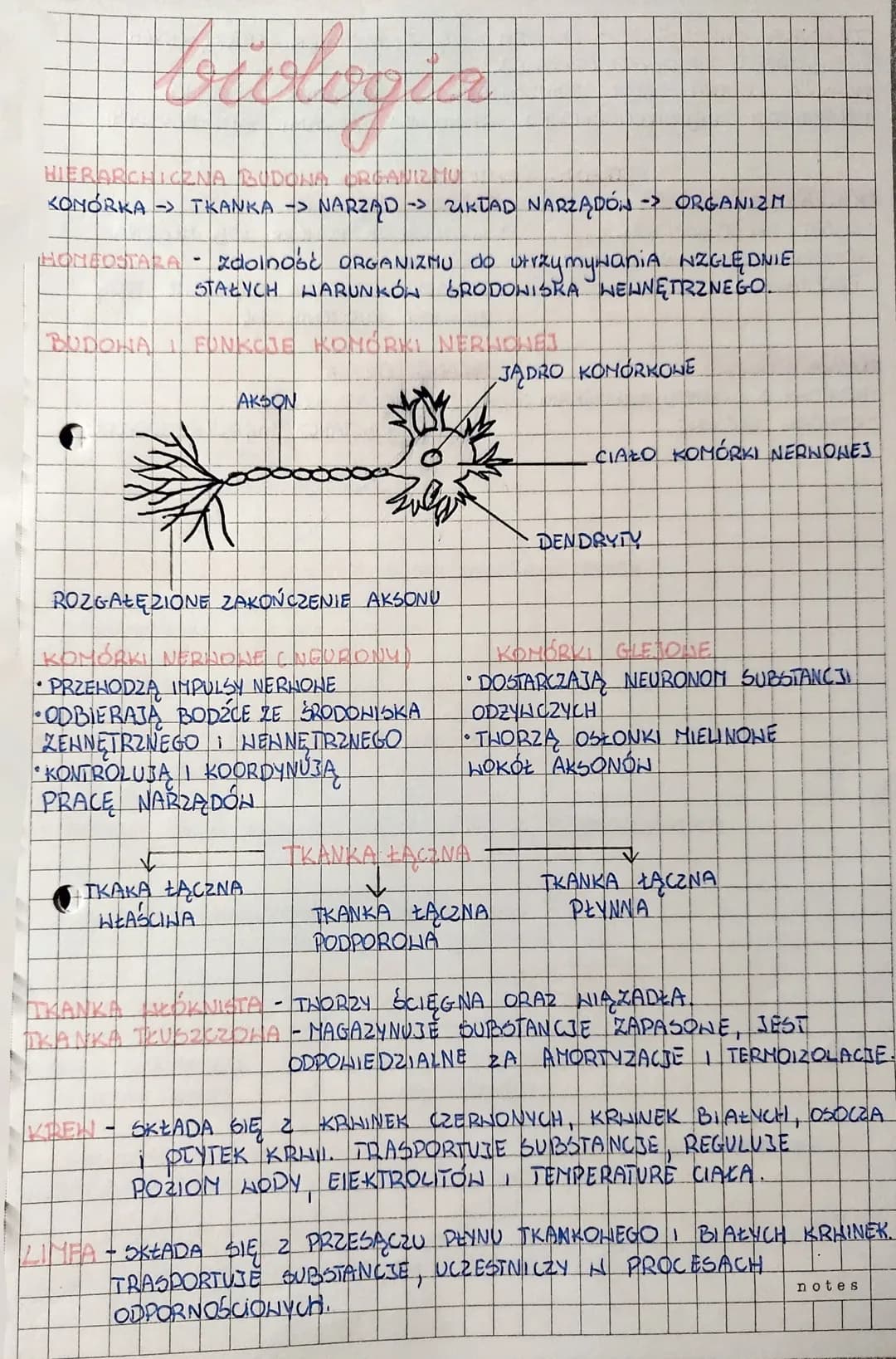 20160422
HIERARCHICZNA BUDONA
KONORKA -> TKANKA -> NARZĄD -> KTAD NARZĄDÓN - ORGANIZM
HONEOSTARA - zdolność ORGANIZMU do utrzymywaniA NZGLĘD