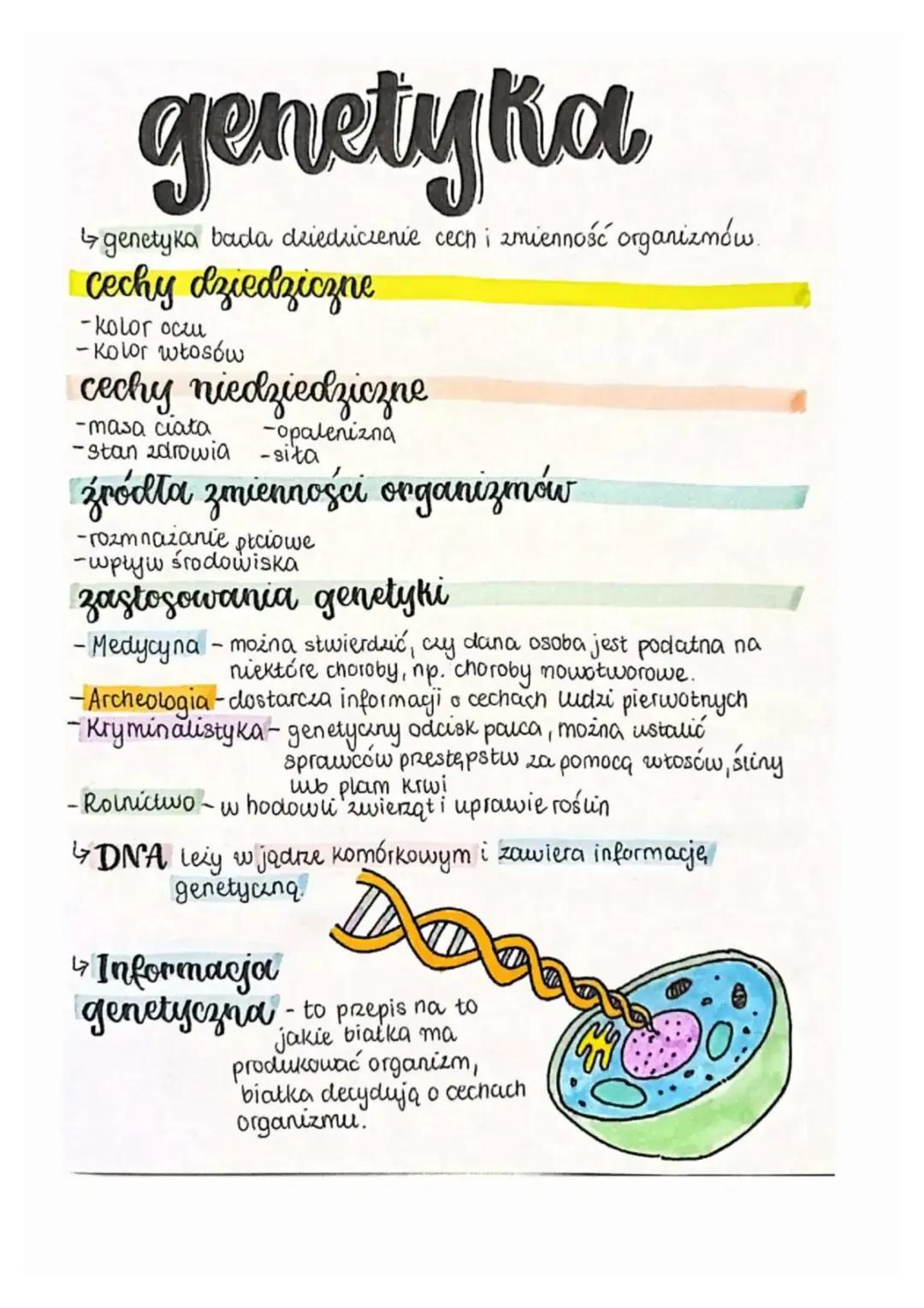 genetyka
genetika bada dziedziczenie cech i zmienność organizmów.
Cechy dziedziczne
-kolor oczu
-Kolor włosów
cechy niedziedziczne
-masa cia