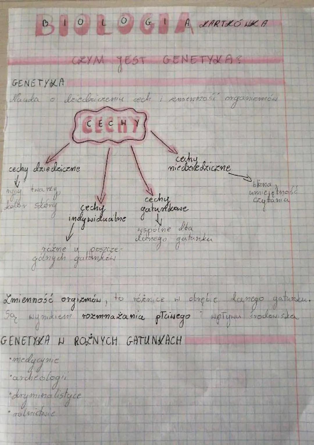 Podstawy Genetyki: Kluczowe Informacje