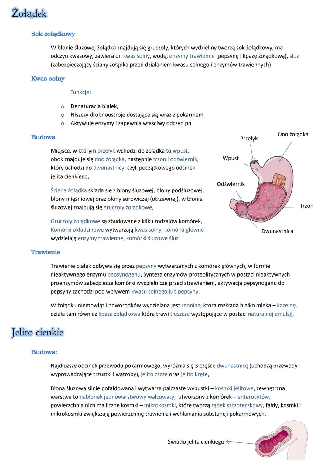 Fluor
Funkcje: buduje kości i zęby, chroni zęby przed próchnicą,
Skutki niedoboru: zwiększa podatność zębów na próchnicę,
Bilans wodny
Różni