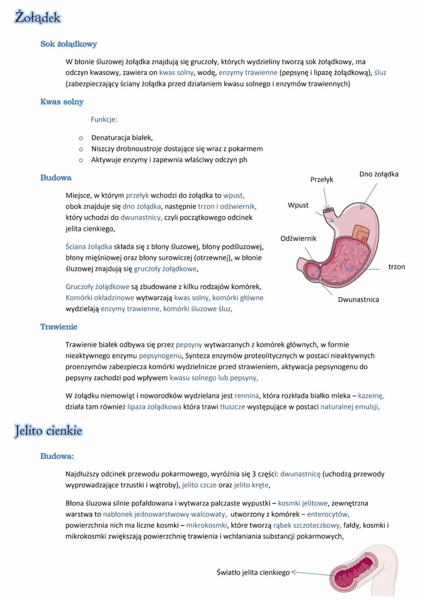 Fluor
Funkcje: buduje kości i zęby, chroni zęby przed próchnicą,
Skutki niedoboru: zwiększa podatność zębów na próchnicę,
Bilans wodny
Różni