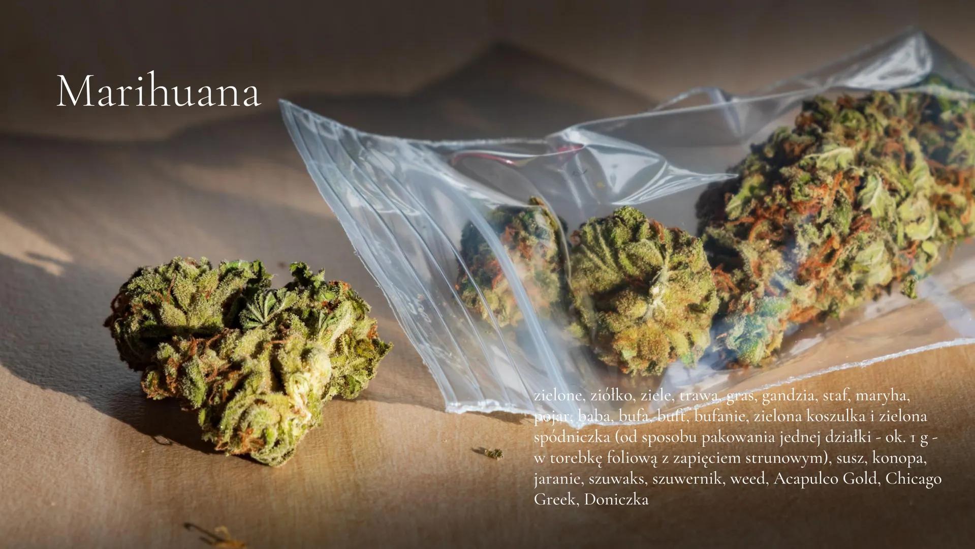 d
EO
H
FLAGYL
FLAGYL
Narkotyki
IMIE I NAZWISKO Narkotyki co to tak właściwie?
Są to nielegalne substancje pochodzenia naturalnego lub syntet