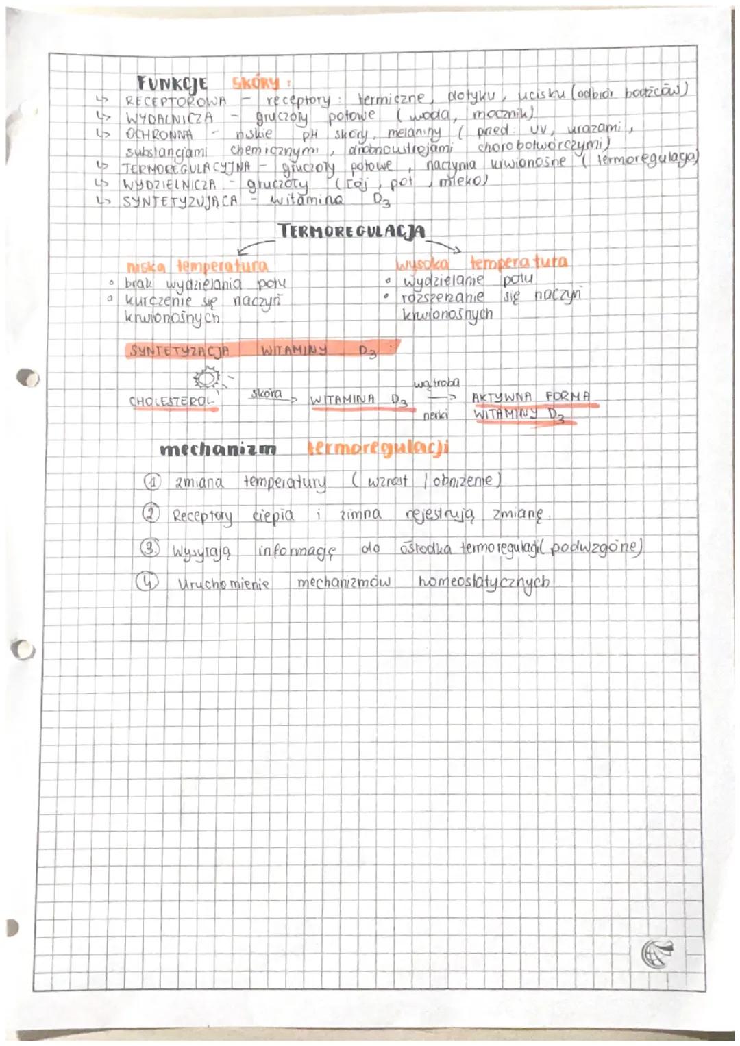 5
BUDOWA FUNKCJE
n
dwie warstwy (jedna
ma
skóry właściwej
Pad
człowieka
kord
nashorka
podskona
NASKOREK
warstwa zrogowaciata
• warstwa
nowyc