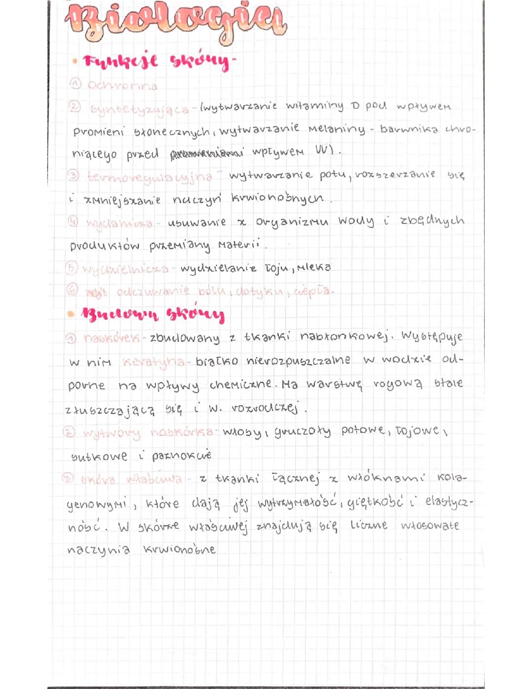 Notatka biologia budowa i funkcje skóry klasa 7