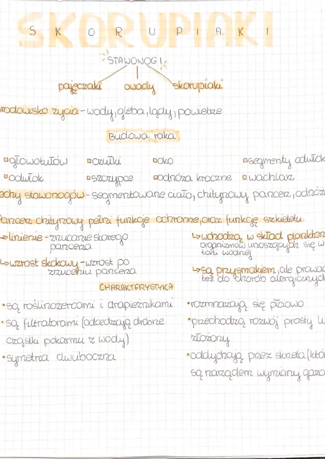 SKORUPIAKI
STAWONOGI
pajęczaká owady skorupiaki
prodowisko życia - wody, gleba, lady, powietrze
Budowa raka
□czułki
DOKO
aszczypce
godnoza k