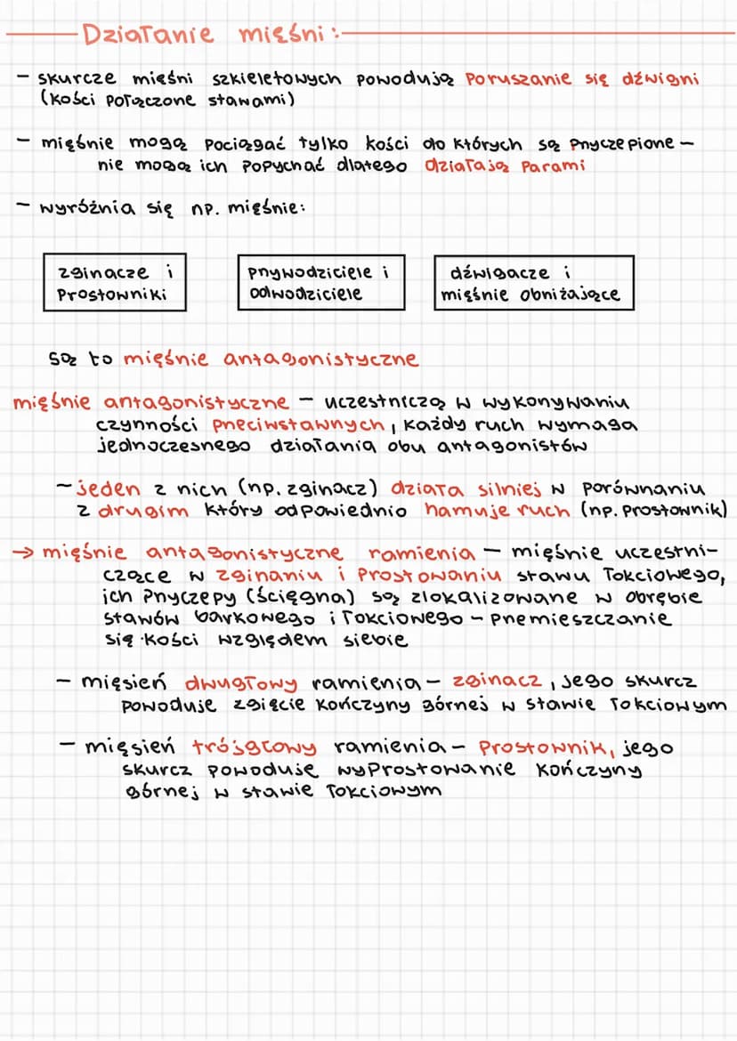 → Premiany biochemiczne podczas pracy mięśnia:
czas pracy
итатек
sekundy
2-4 sekundy
do kilkunastu
minut
do 40 minut
do kilku
godzin
pny wyc