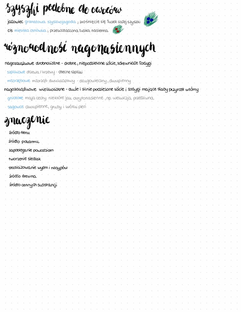 Rośliny nagonasion no
Kwiatostan damski
Sosny zwyczajnej
↳
2wylle rośliny szpilkowe; zimozielone*
↳ drewno- cewui a tylo- komórui sitowe
↳ n