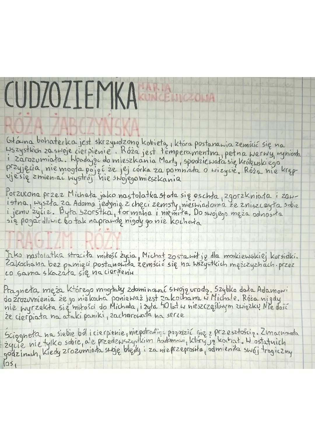 Cudzoziemka - Streszczenie, Problematyka i Bohaterowie