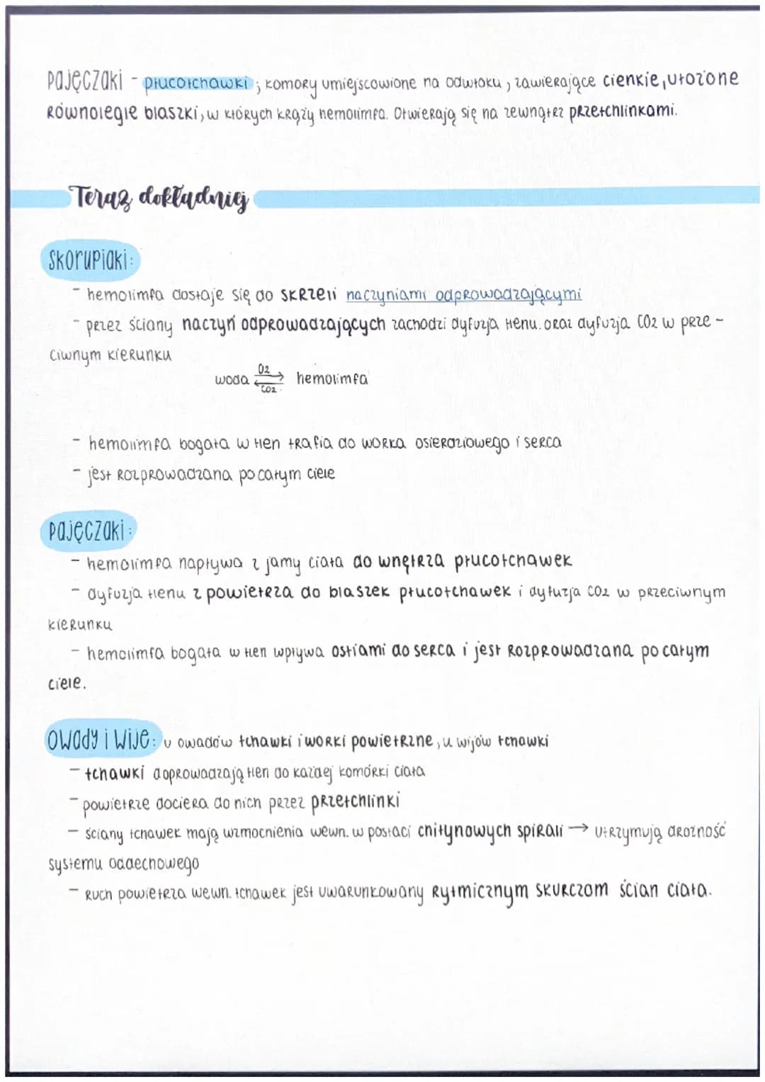 Ogólne informace
- ciało podzielone na tagmy
metameria heteronomiczna
Stawonogi
- trójwarstwowe
ich jama ciała, czyli miksocel, powstała w s