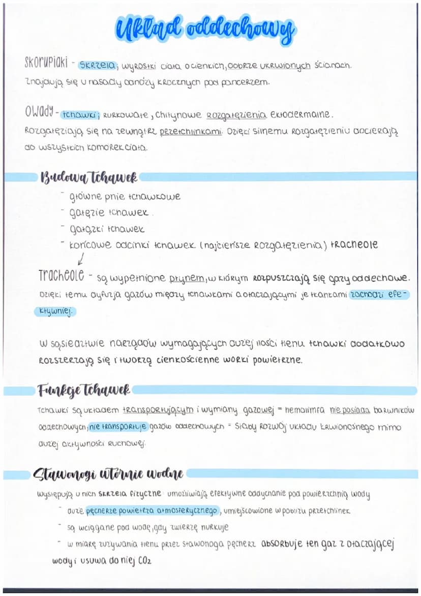 Ogólne informace
- ciało podzielone na tagmy
metameria heteronomiczna
Stawonogi
- trójwarstwowe
ich jama ciała, czyli miksocel, powstała w s
