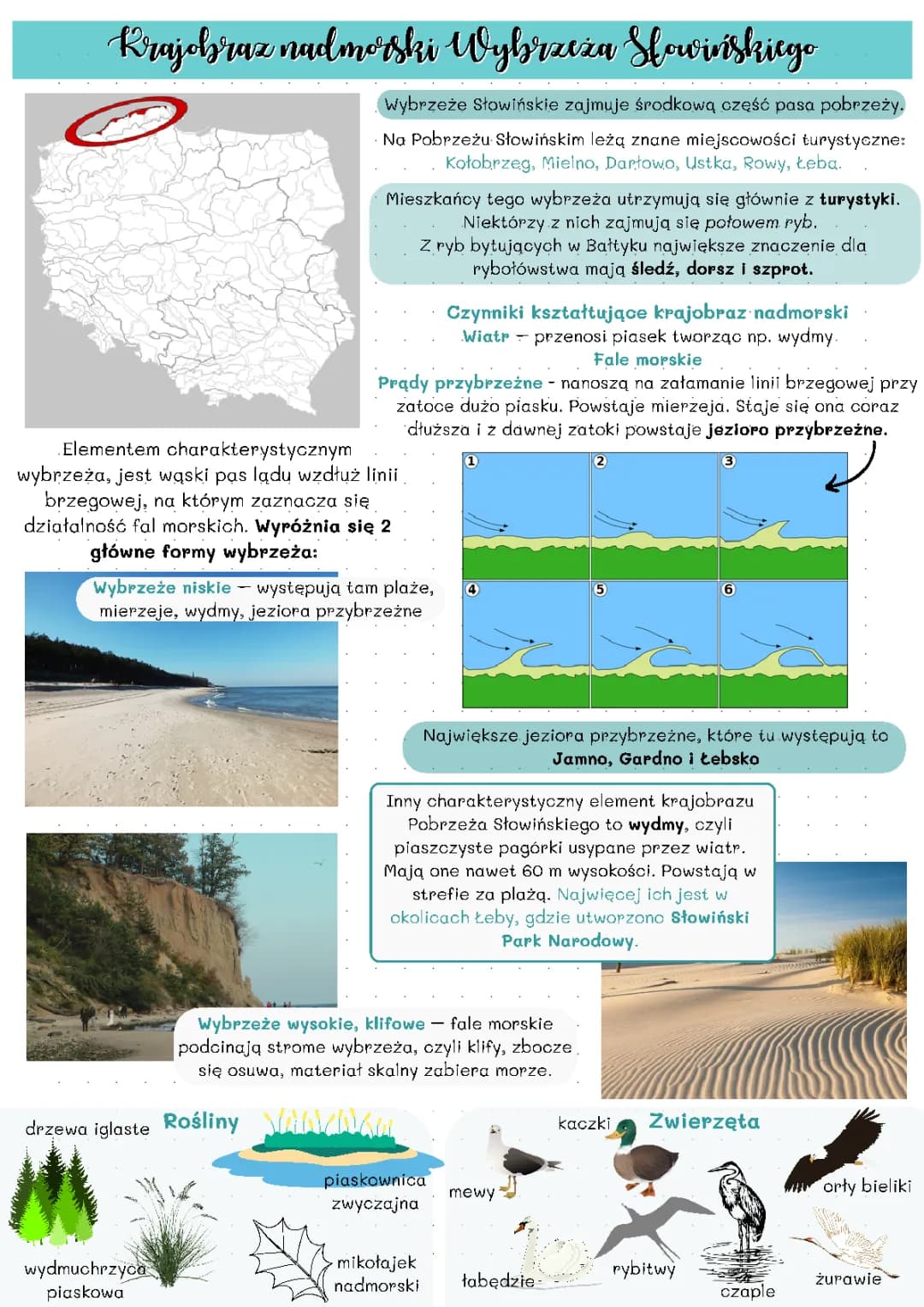 Krajobraz nadmorski Wybrzeża Słowińskiego