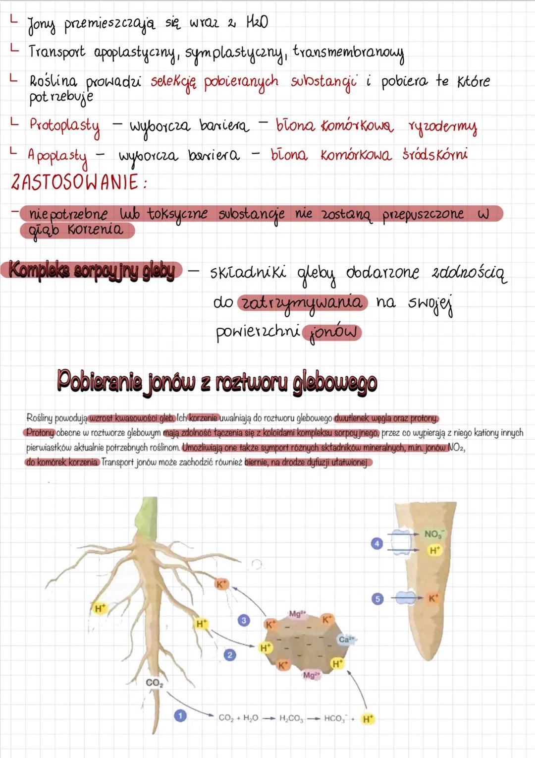 Gospodarka mineralna roślin
Roztwór glebowy - woda z rozpuszczonymi składnikami mineralnymi
Zawartość składników mineralnych zależy od:
fazy