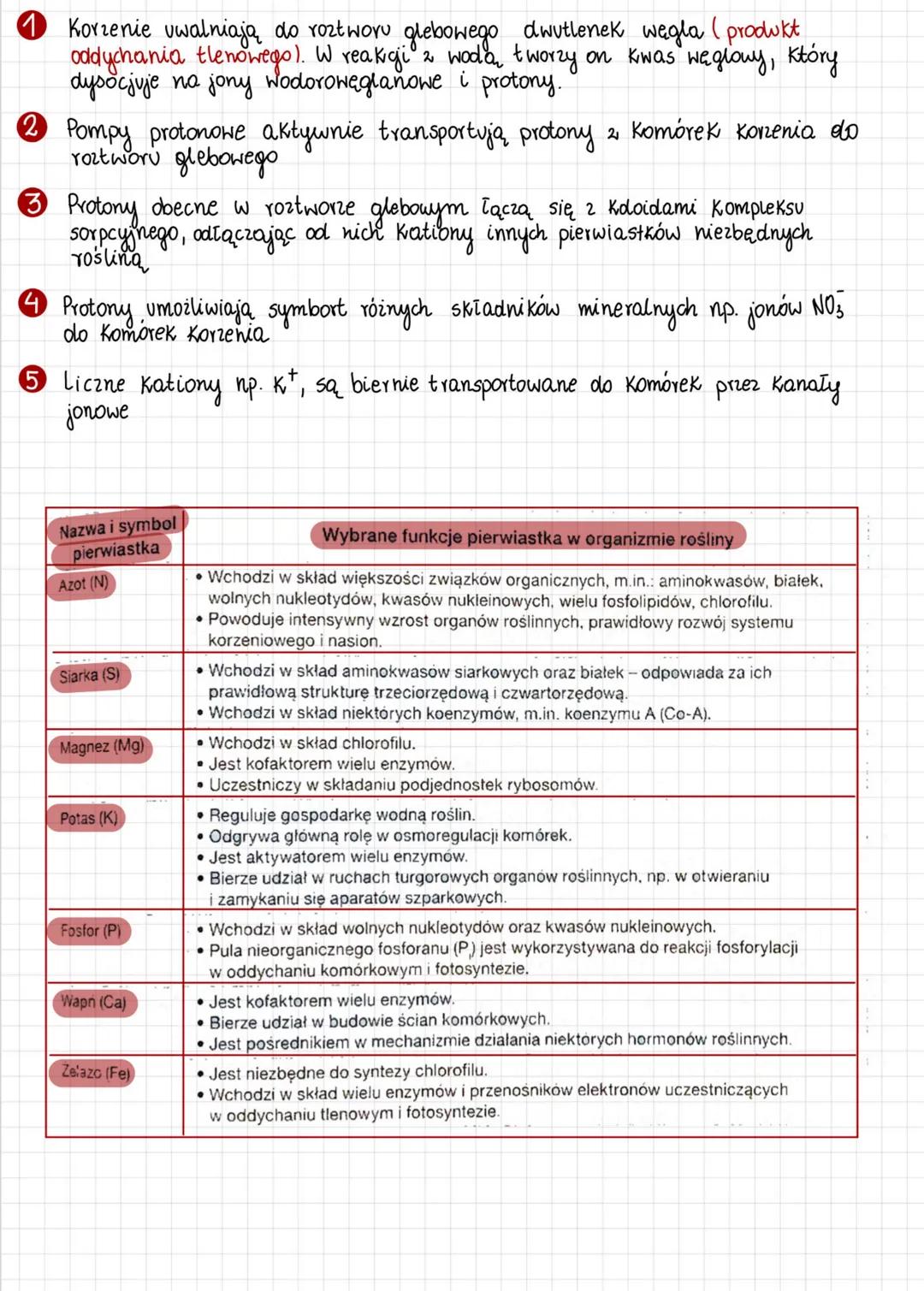 Gospodarka mineralna roślin
Roztwór glebowy - woda z rozpuszczonymi składnikami mineralnymi
Zawartość składników mineralnych zależy od:
fazy