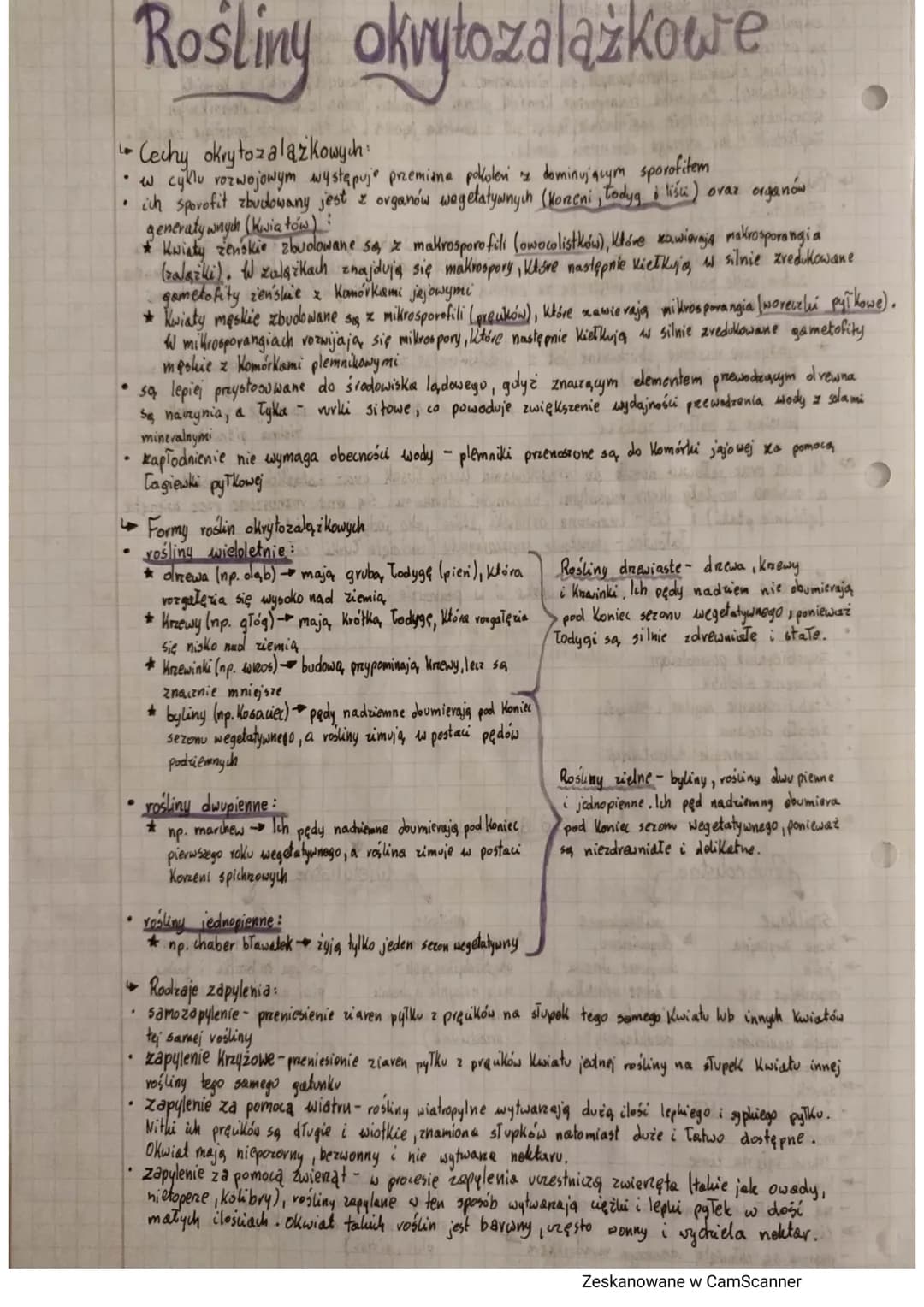 Rośliny okvytozalążkowe
Cechy okrytozalążkowych:
• cyklu rozwojowym występuje przemiana pokoleń z dominujacym sporofitem
.
ich sporofit zbud