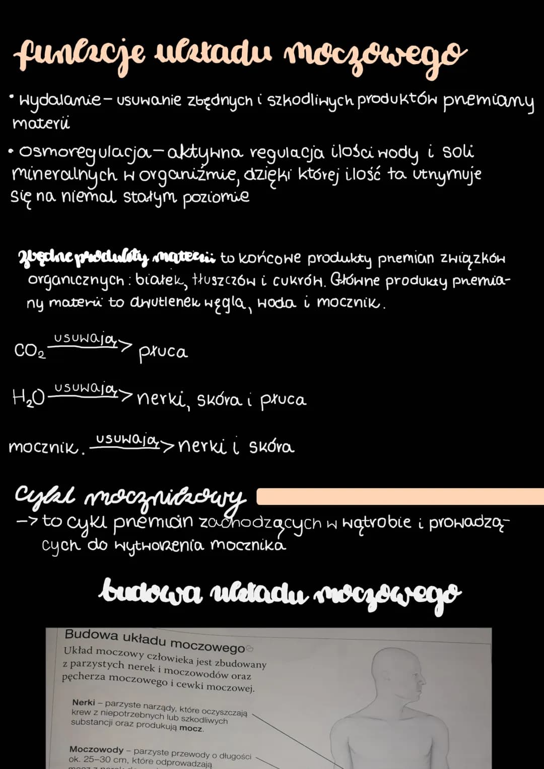 funcscje ulstadu moczowego
• Wydalanie - usuwanie zbędnych i szkodliwych produktów premiany
materi
●
· Osmoregulacja-aktywna regulacja ilośc