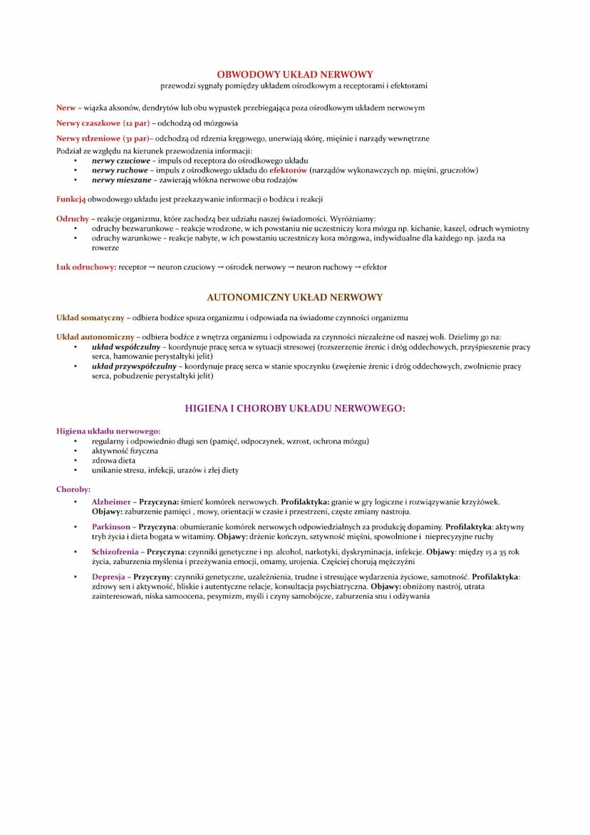 Funkcje układu nerwowego:
odbiór i analizowanie bodźców pochodzących z środowiska zewnętrznego iz wnętrza ciała
reagowanie na bodźce
regulow