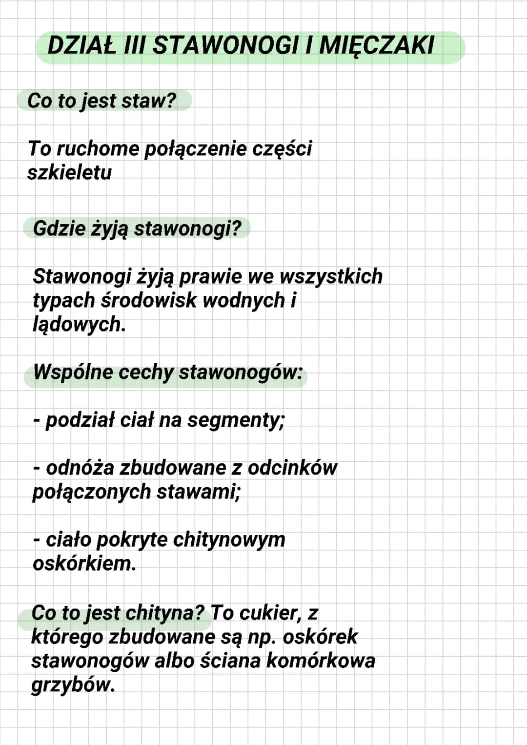 Ciekawe gatunki stawonogów i ich cechy, budowa stawonogów i mięczaków