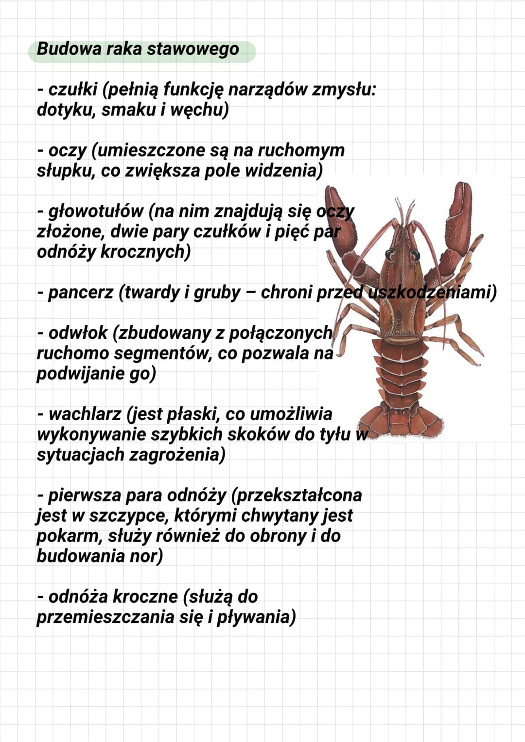 DZIAŁ III STAWONOGI I MIĘCZAKI
Co to jest staw?
To ruchome połączenie części
szkieletu
Gdzie żyją stawonogi?
Stawonogi żyją prawie we wszyst
