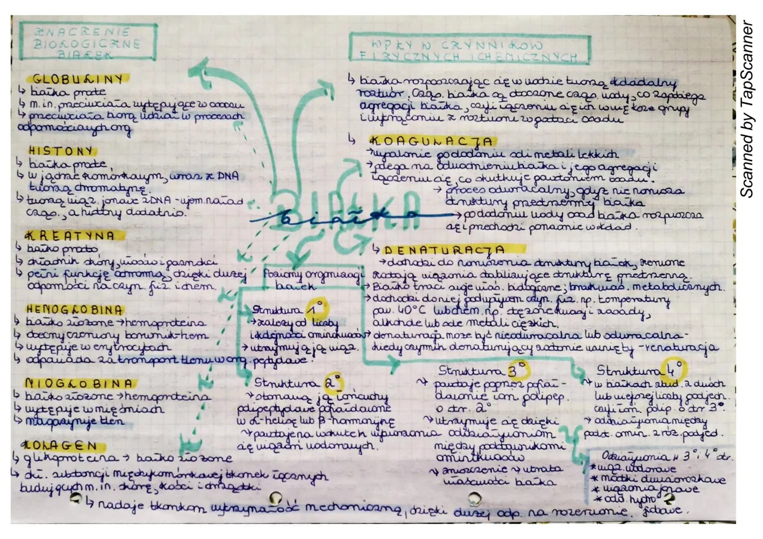 NACZENIE
BIOLOGICKNE
BIARSK
GLOBULINY
↳biaika prote
↳
4 m.in. praeciwciała wytępy are wocacau
•przeciuciano biorą lichiar i procesa.ch
odpom